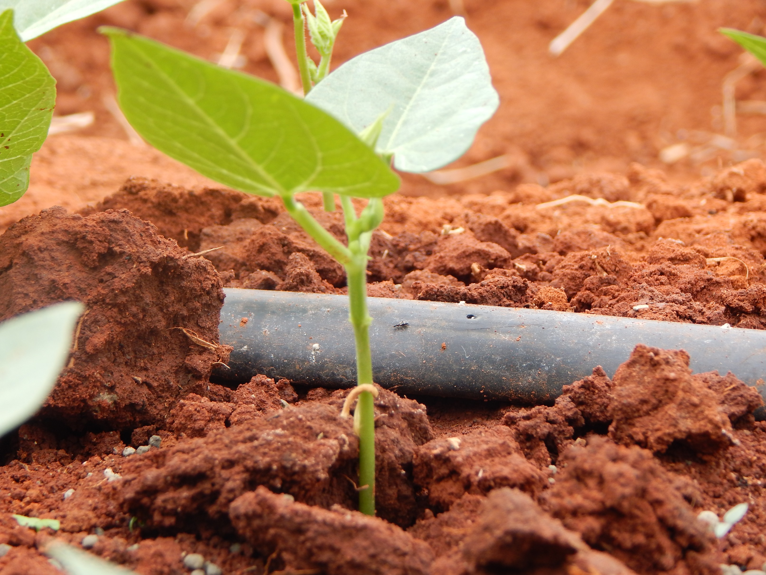 Training session in progress
