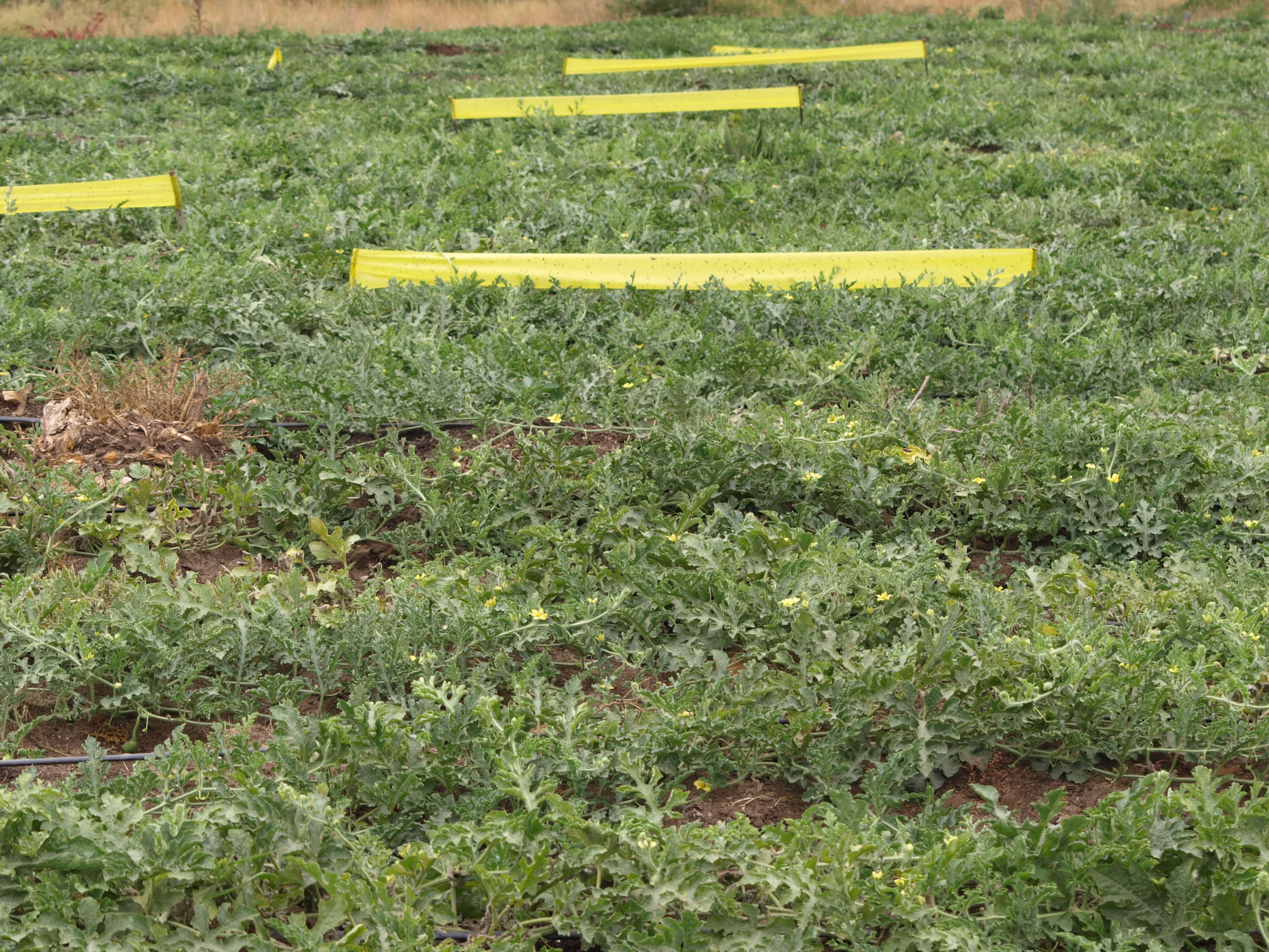 Farm management operations